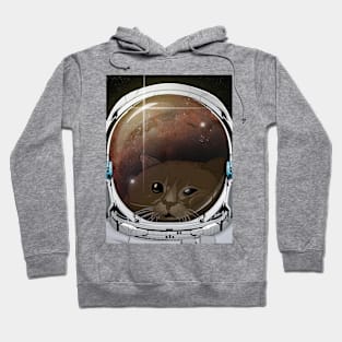 Space Kitty Hoodie